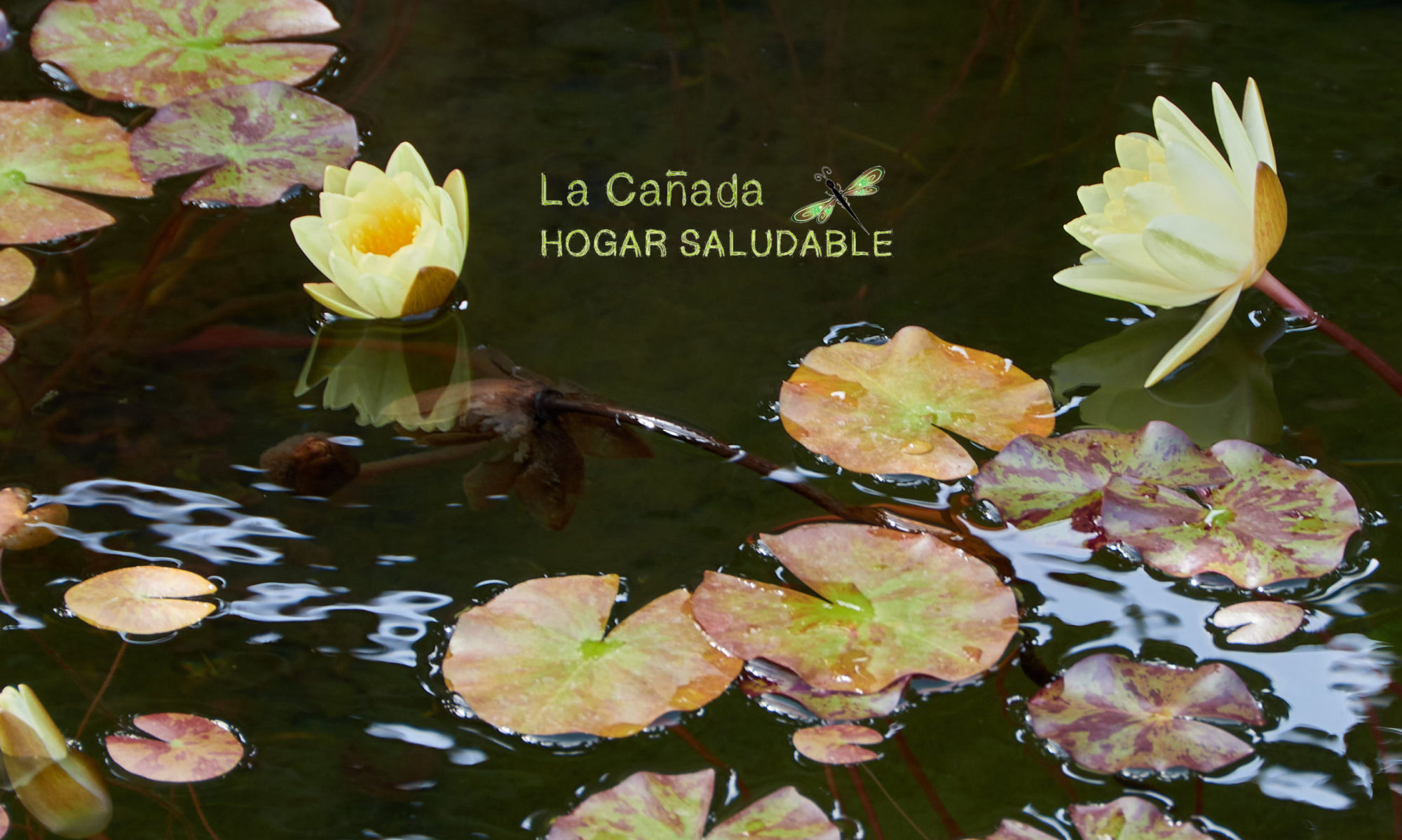 Espacio de Yoga en la Cañada Paterna.